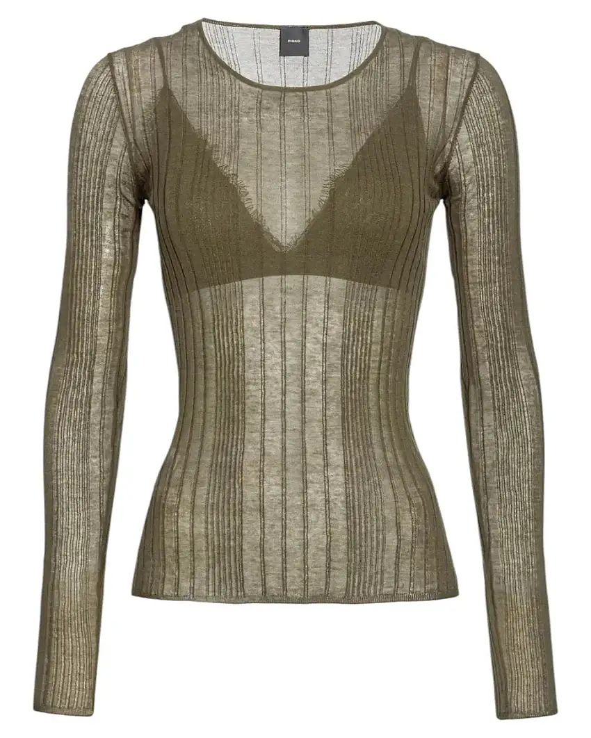 Top Semi Trasparente a Coste Pinko – Sensuale ed Elegante